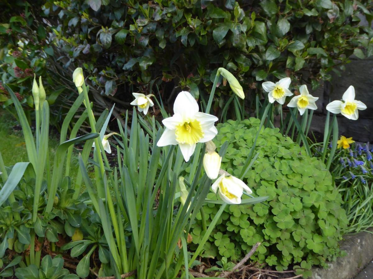 The Grange Guest House Brecon Quarto foto